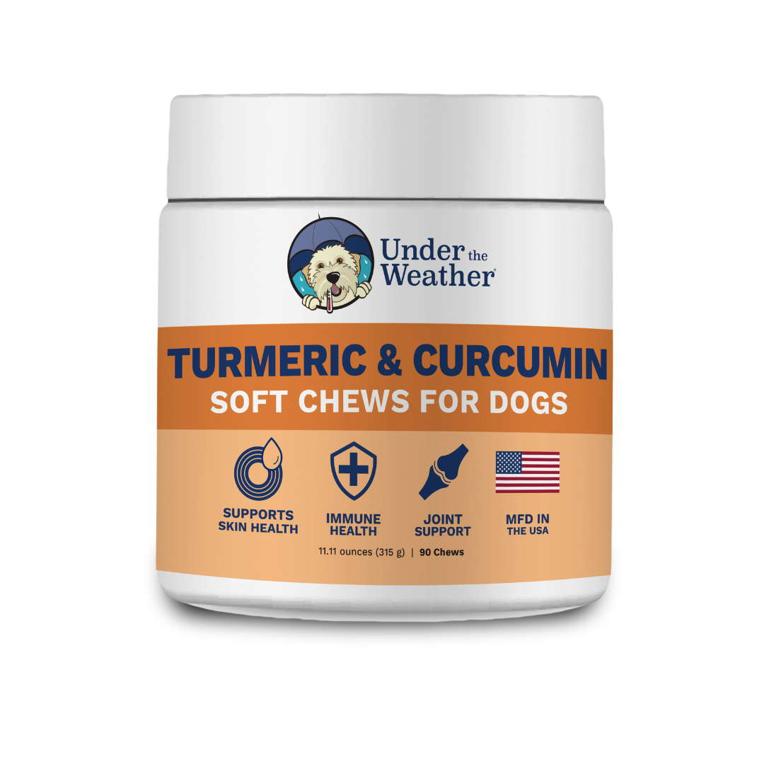 Turmeric chews for dogs sale