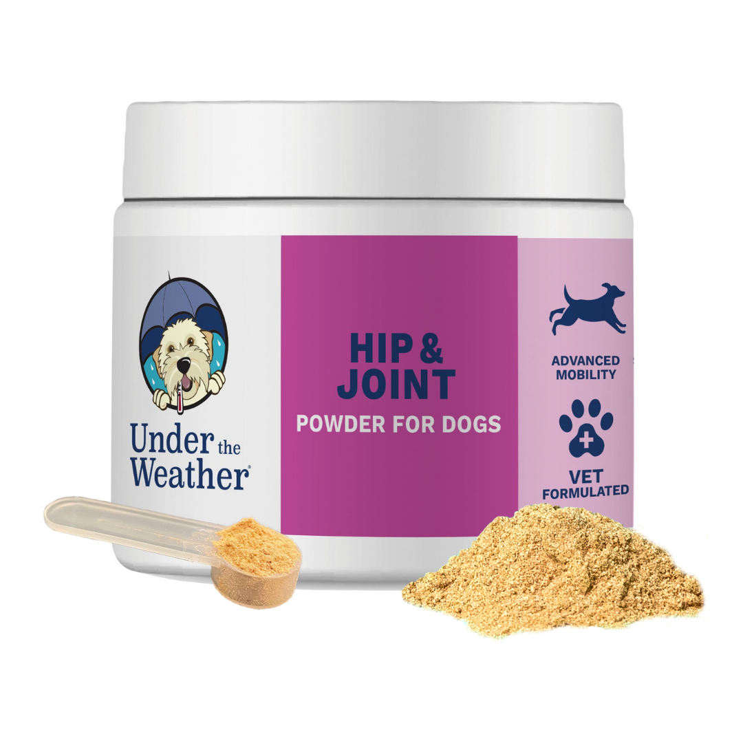 Hip and joint hot sale powder for dogs