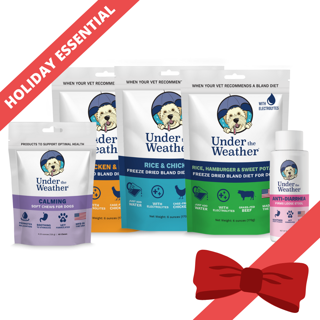 Holiday Survival Bundle For Dogs Under the Weather