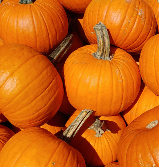 Pile of pumpkins