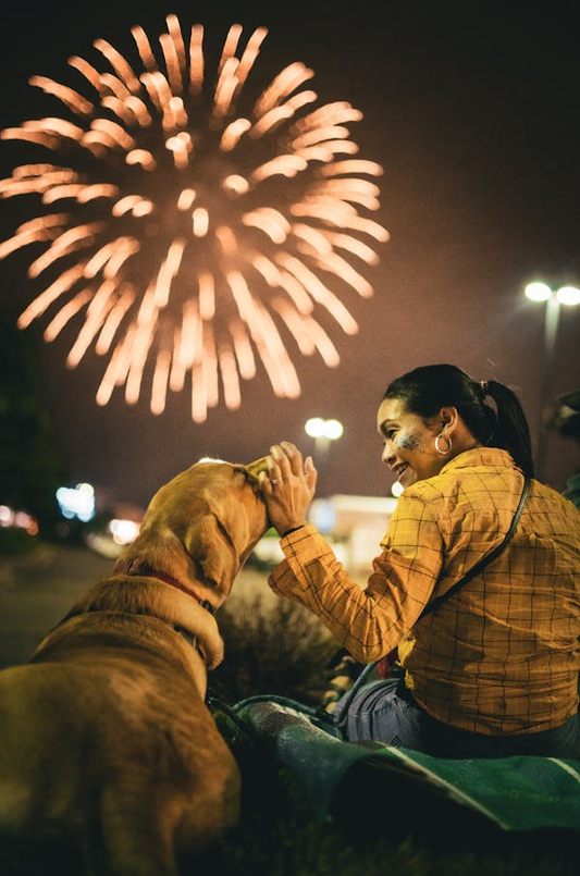 Individual petting dog during fireworks