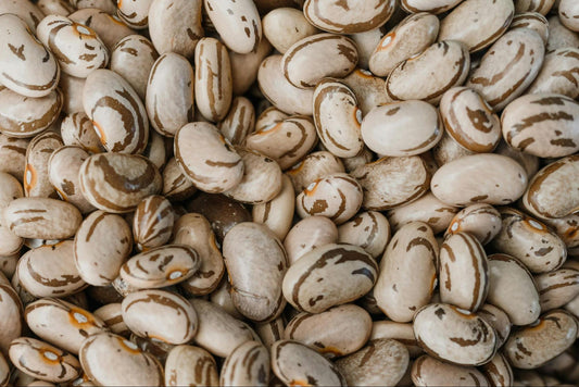 A closeup of pinto beans.