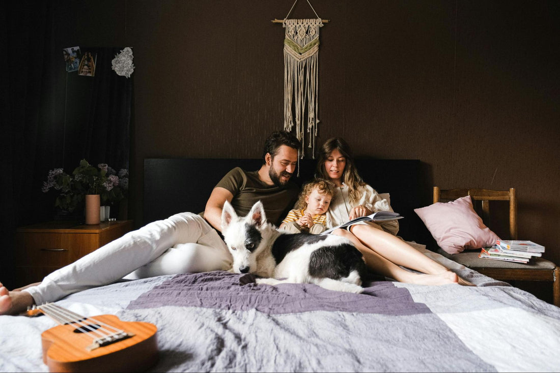 A man, woman, and child reading a book in bed with a black and white dog curled up with them.