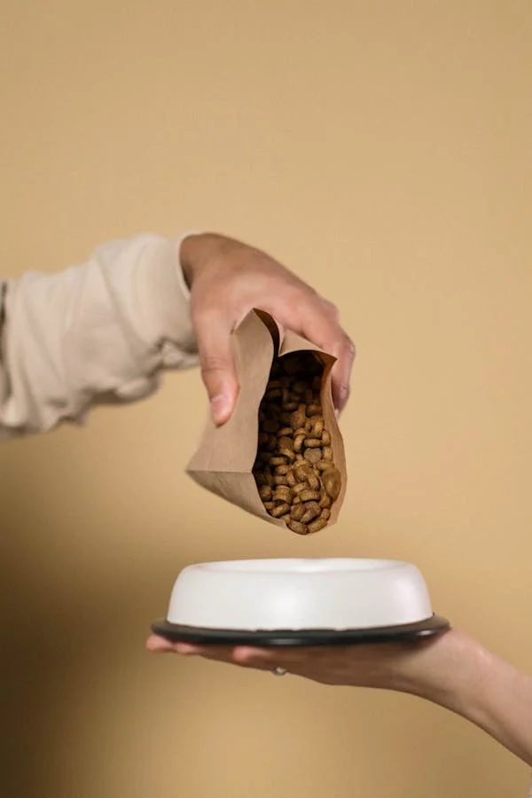 Hand pouring dog food into white dog bowl