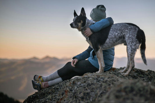 A dog stands alertly on a summit with its owner sitting beside it.