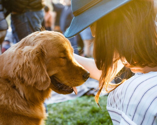 A woman in a striped white dress affectionately pets a dog