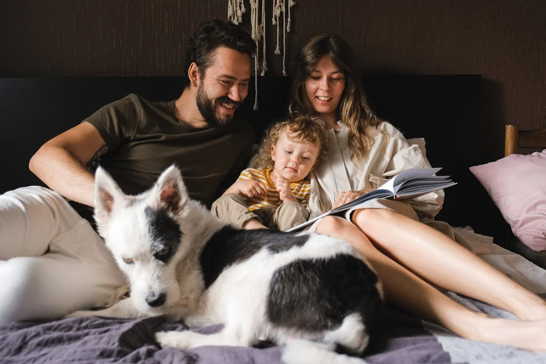 A family reading in bed with their child and dog