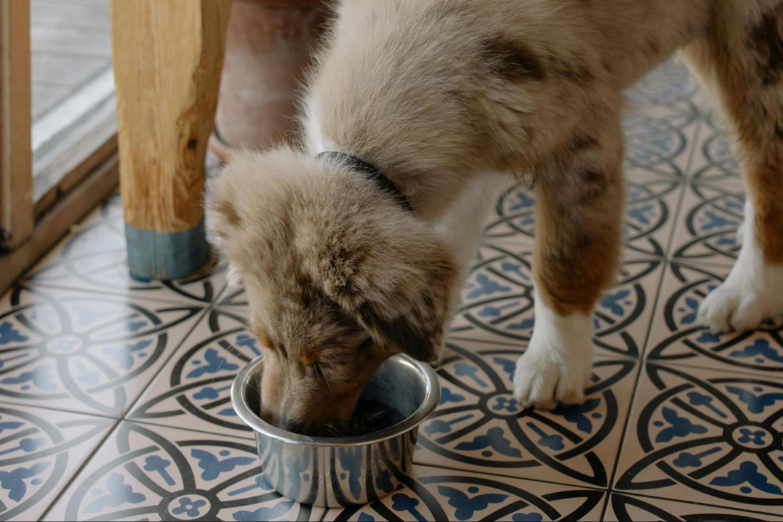 A dog eats from a deep silver-toned dish set on a tile floor.