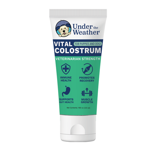 Colostrum Gel for Dogs