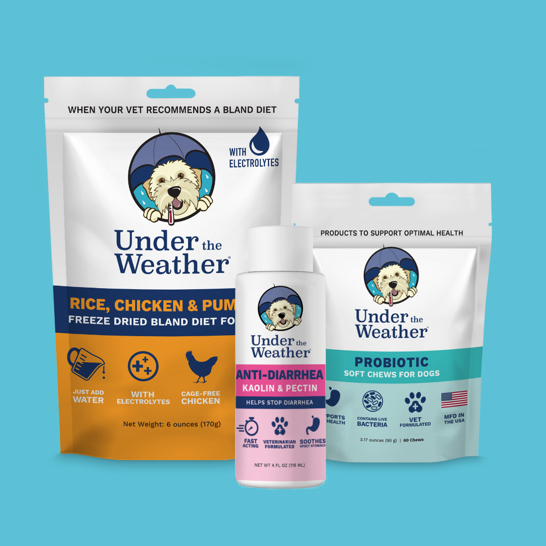 Set of dog healthcare products including anti-diarrhea, soft chews, and a syringe.