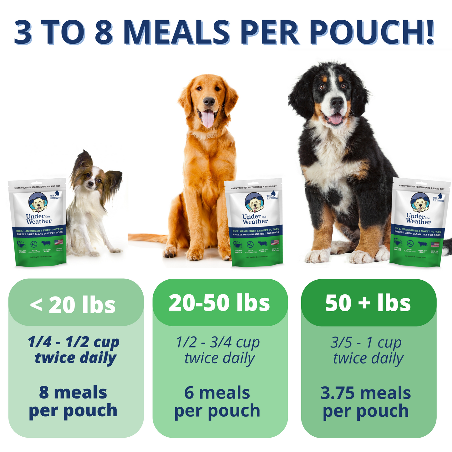 Hamburger, Rice, & Sweet Potato Bland Diet For Dogs - 6 pack