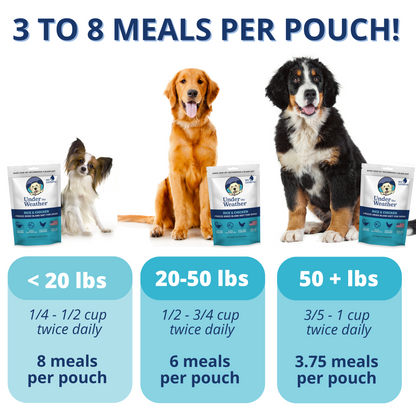 Chicken & Rice Bland Diet For Dogs