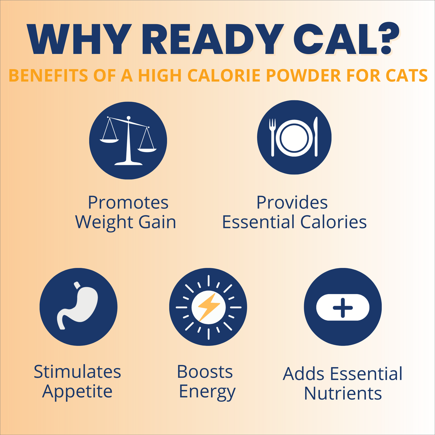 Ready Cal High Calorie Powder for Cats