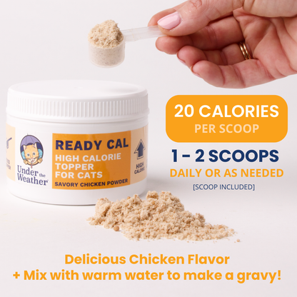 Ready Cal High Calorie Powder for Cats