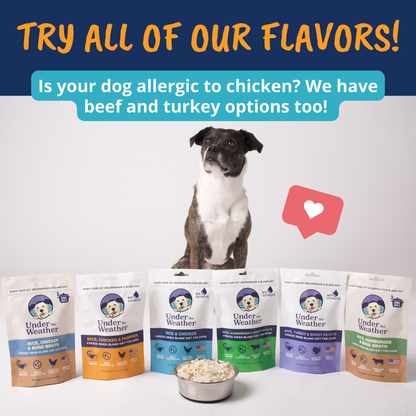 Chicken, Rice, & Pumpkin Bland Diet For Dogs