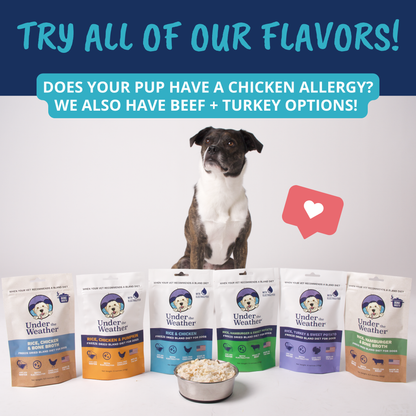 Chicken & Rice Bland Diet For Dogs