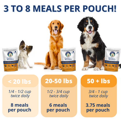 Chicken, Rice, & Pumpkin Bland Diet For Dogs