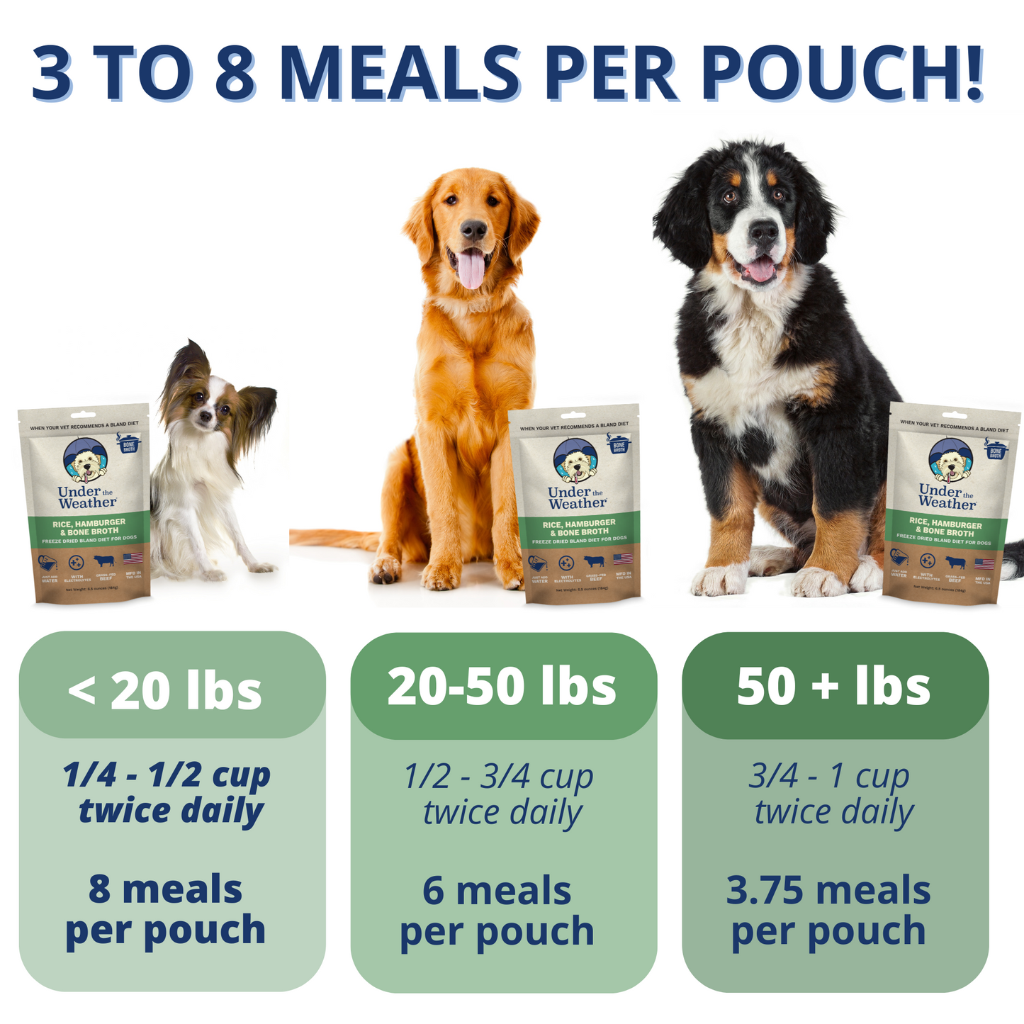 Hamburger, Rice, & Bone Broth Bland Diet For Dogs