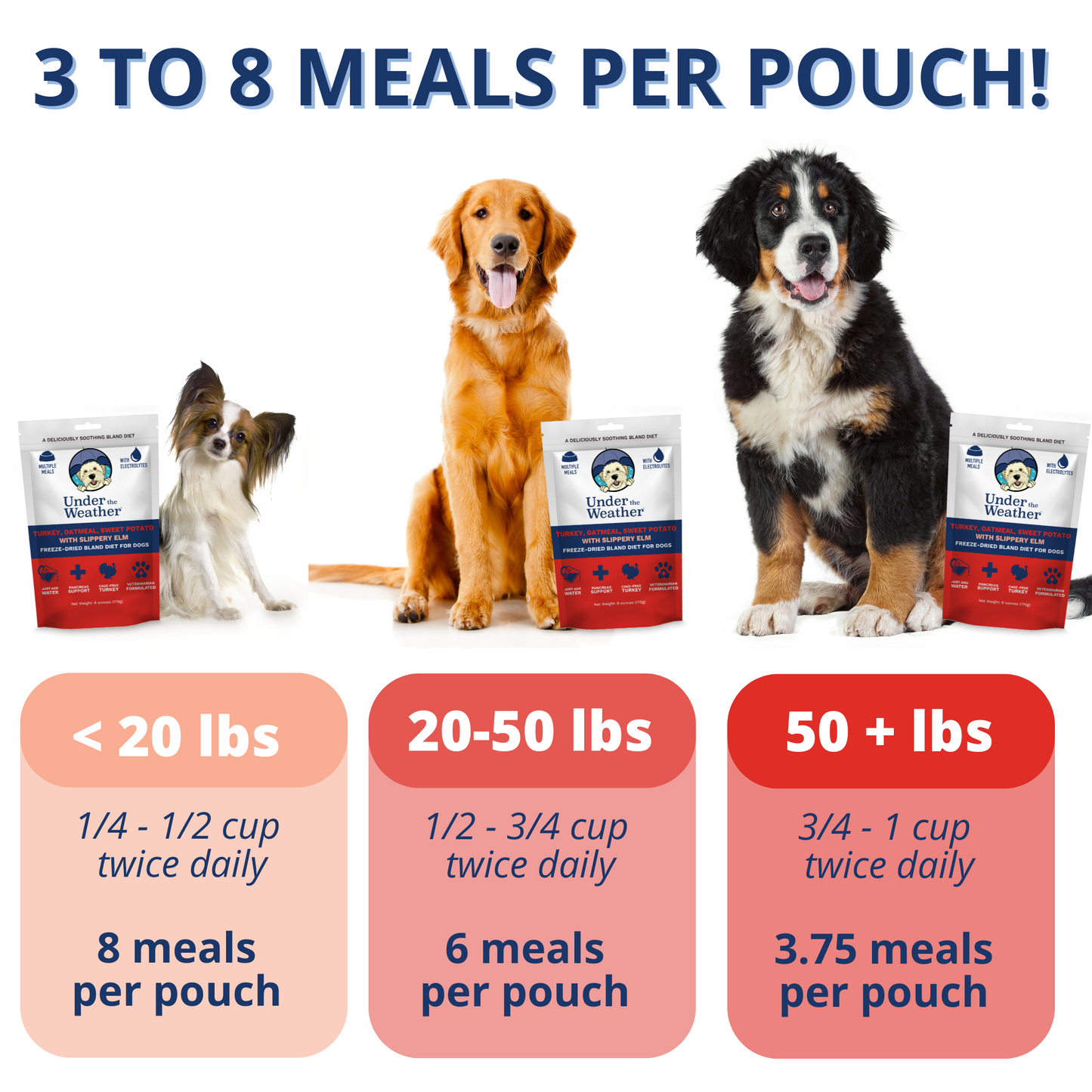 Turkey, Oatmeal, Sweet Potato and Slippery Elm Bland Diet For Dogs - 2 Pack