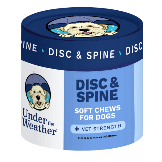 Disc and Spine Chews For Dogs