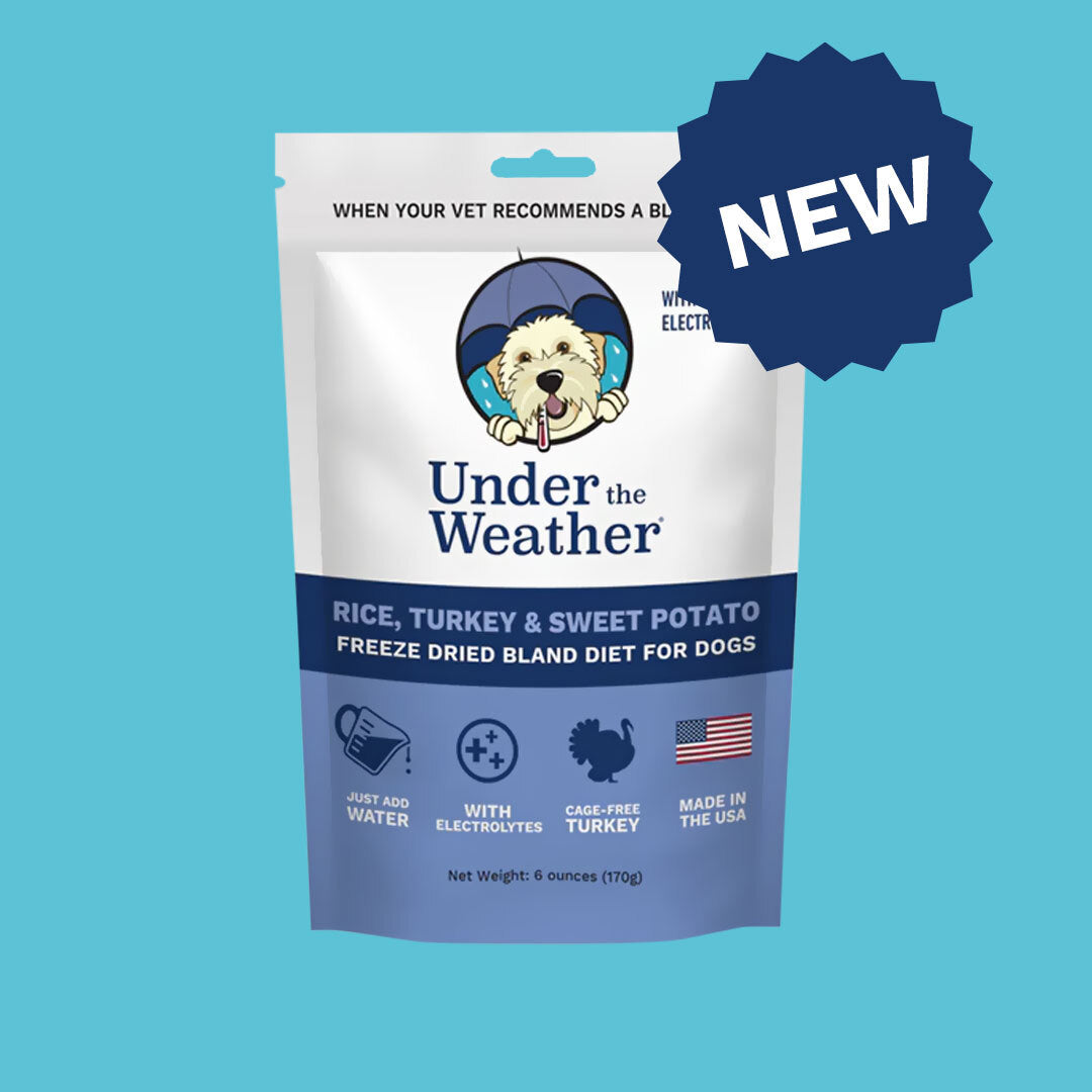 Premium Pet Supplements For Daily Care Under the Weather Pet