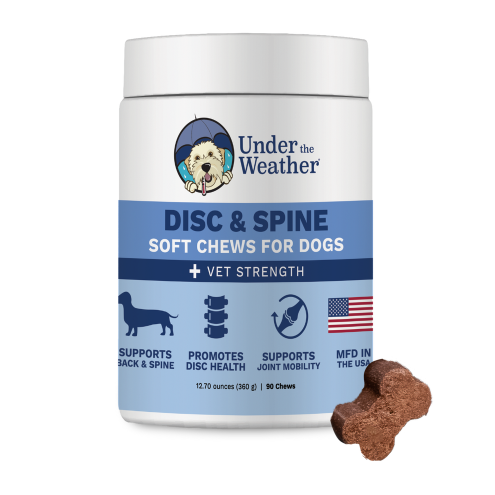 Container of 'Under the Weather Disc & Spine Soft Chews for Dogs' with a bone-shaped chew beside it.