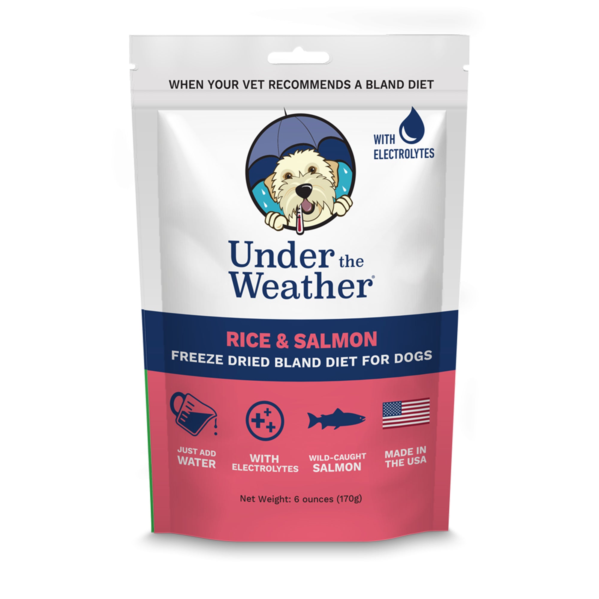 Salmon Rice Bland Diet For Dogs Under the Weather