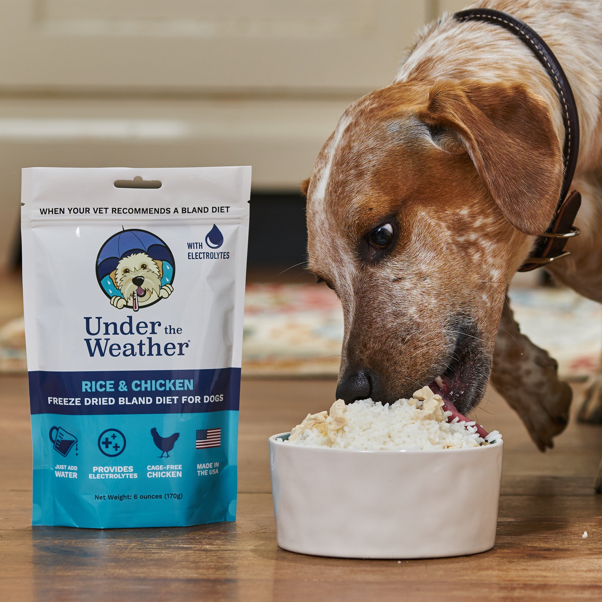 Chicken and rice store diet for dogs