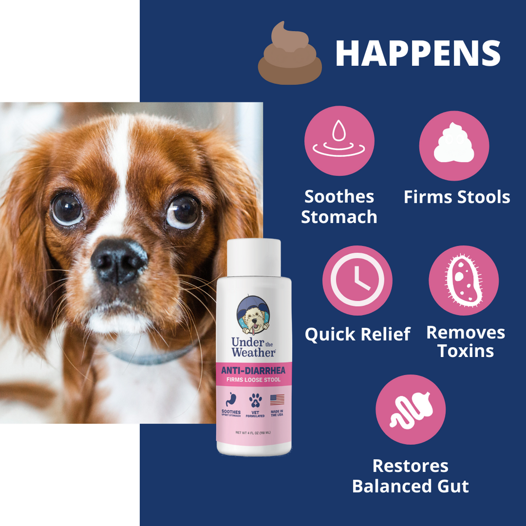 can glucosamine give dogs diarrhea