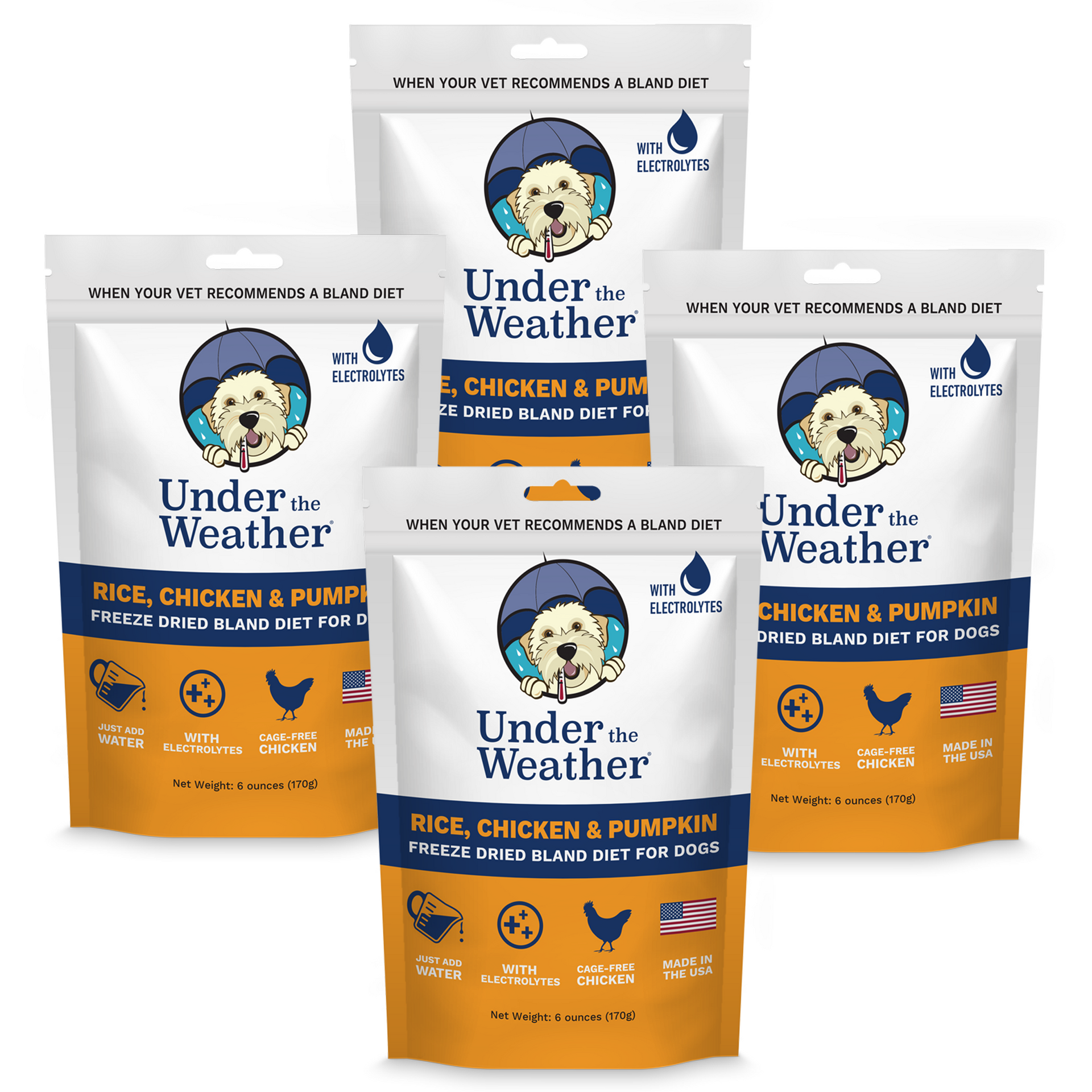 Bland diet for outlet dogs allergic to chicken