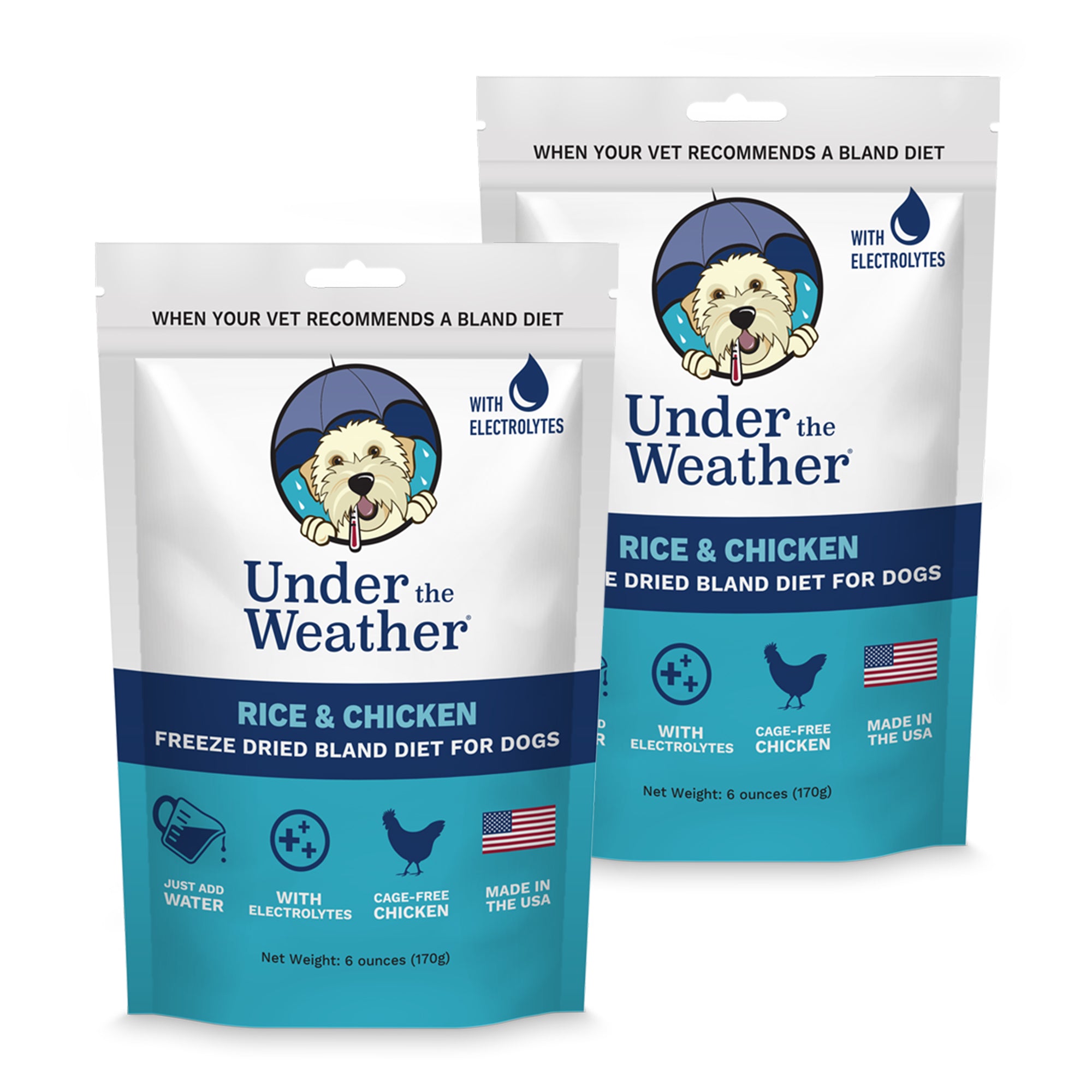 Bland wet dog food best sale