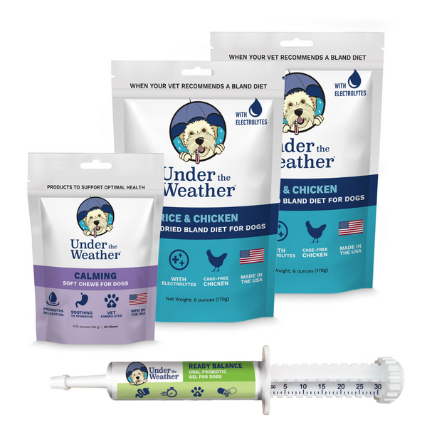 Travel Bundle For Dogs Rice Bland Diet Under the Weather